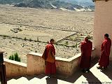 Gompa di Thiksey 2